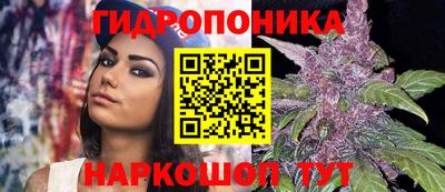 гашишное масло Кингисепп