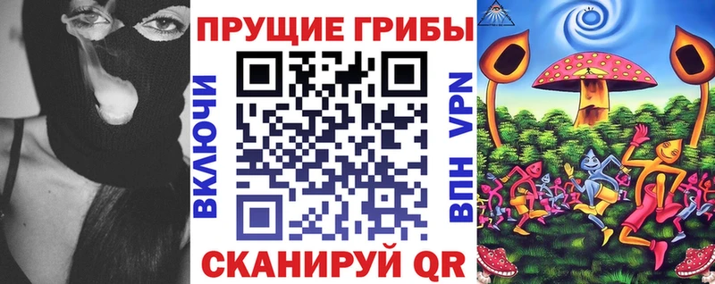 сколько стоит  Лениногорск  Галлюциногенные грибы Psilocybine cubensis 