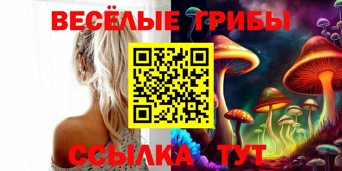 Галлюциногенные грибы Cubensis Лениногорск