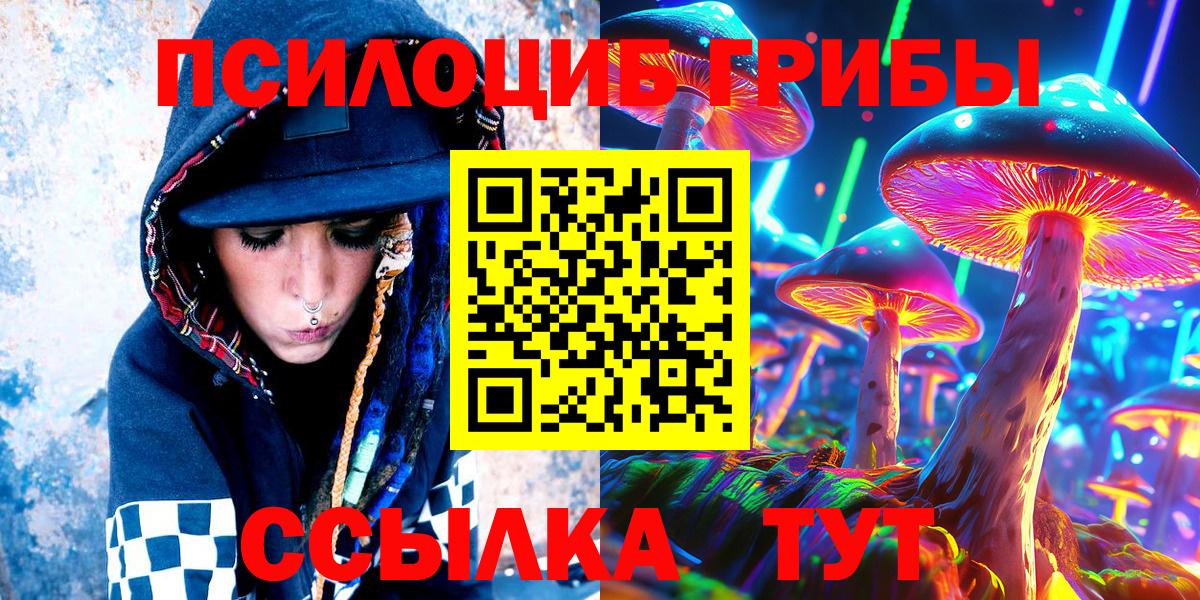 Псилоцибиновые грибы MAGIC MUSHROOMS  Вход с VPN  Лениногорск 