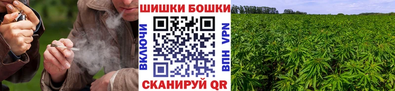 как найти наркотики  mega   Бошки Шишки тримм  Лениногорск 